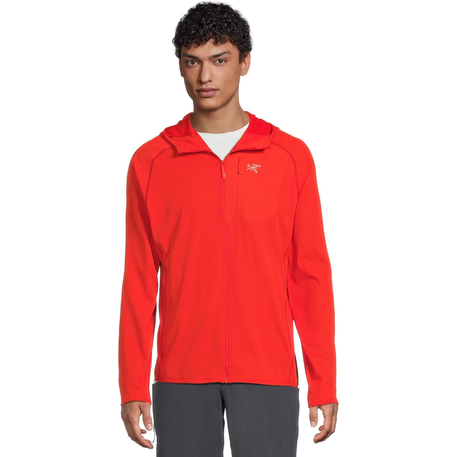 Arc'teryx Delta Hoodie - Men's - Als.com