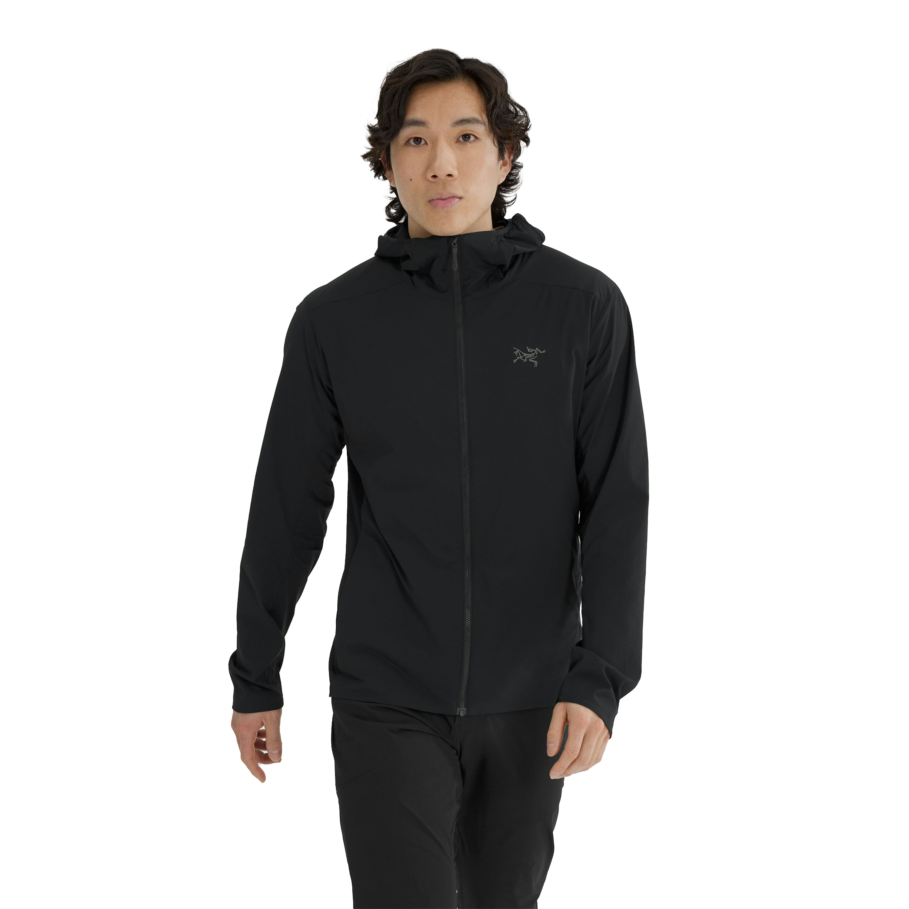Arc'teryx Beta Jacket - Men's - Als.com Arc'teryx Beta Jacket - Men's - Als.com