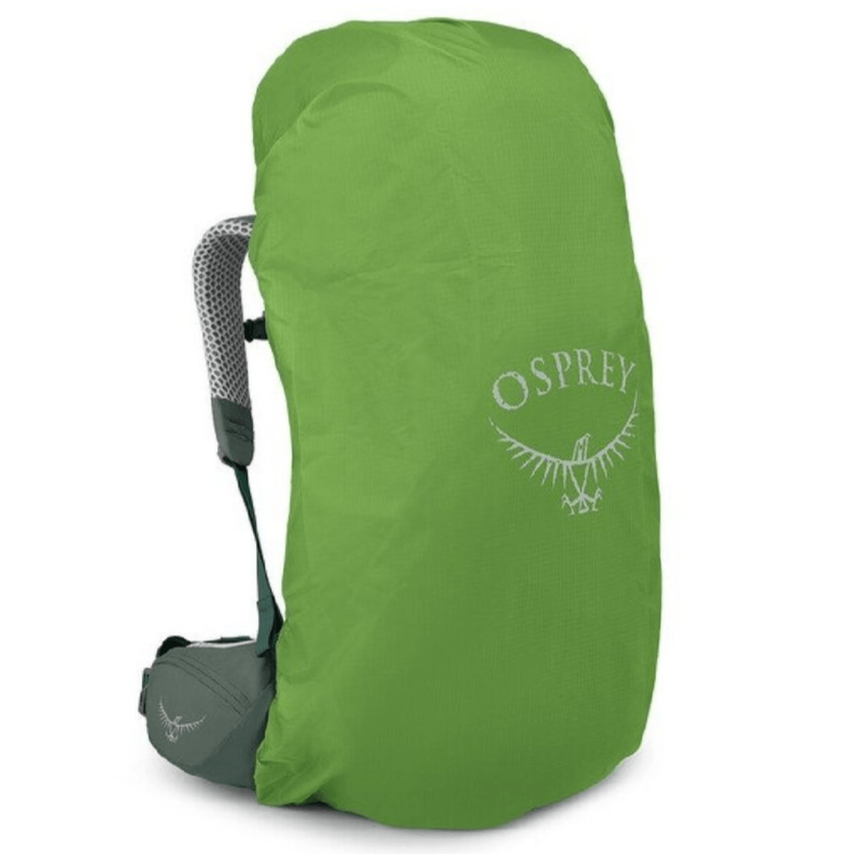Osprey-Aura-AG-LT-50-Backpacking-Pack---Korseret-Darjeeling---Spring-Green.jpg