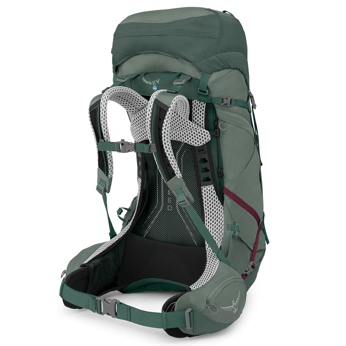 Osprey-Aura-AG-LT-50-Backpacking-Pack---Korseret-Darjeeling---Spring-Green.jpg