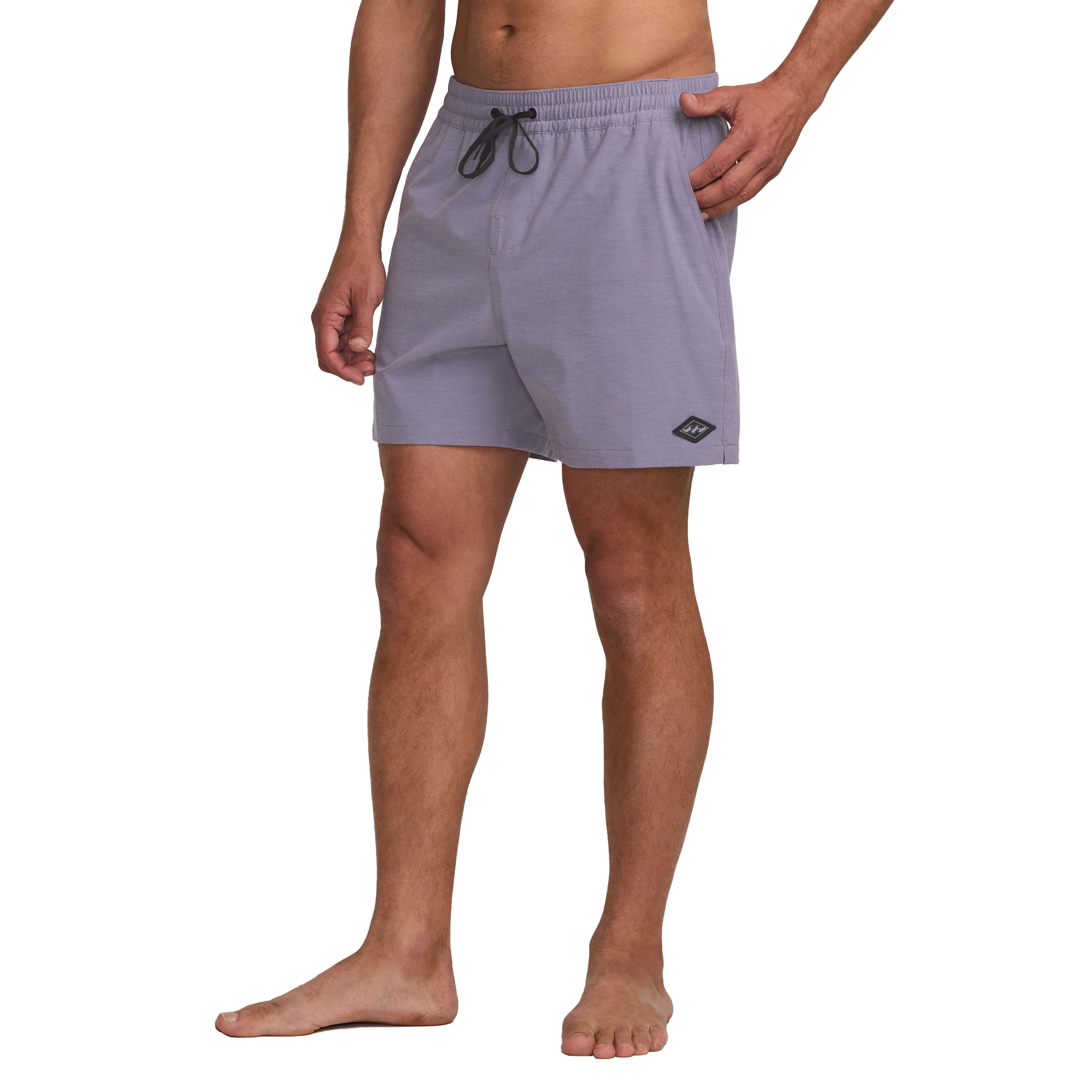 Billabong-Every-Other-Day-Layback-Swim-Trunk---Men-s-Lavender
