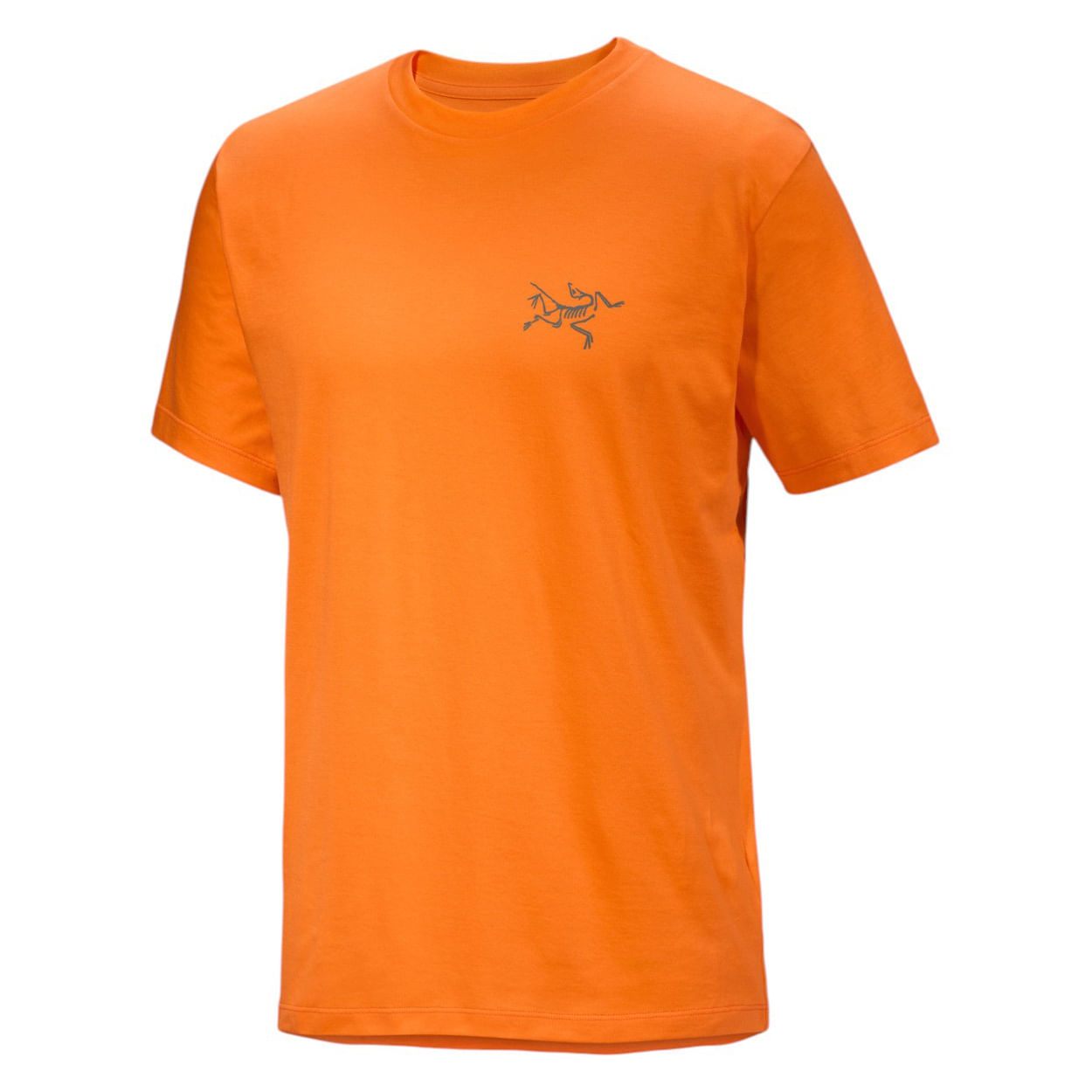 Arc-teryx-Kragg-SL-Cotton-Short-Sleeve-Shirt---Men-s-Verve