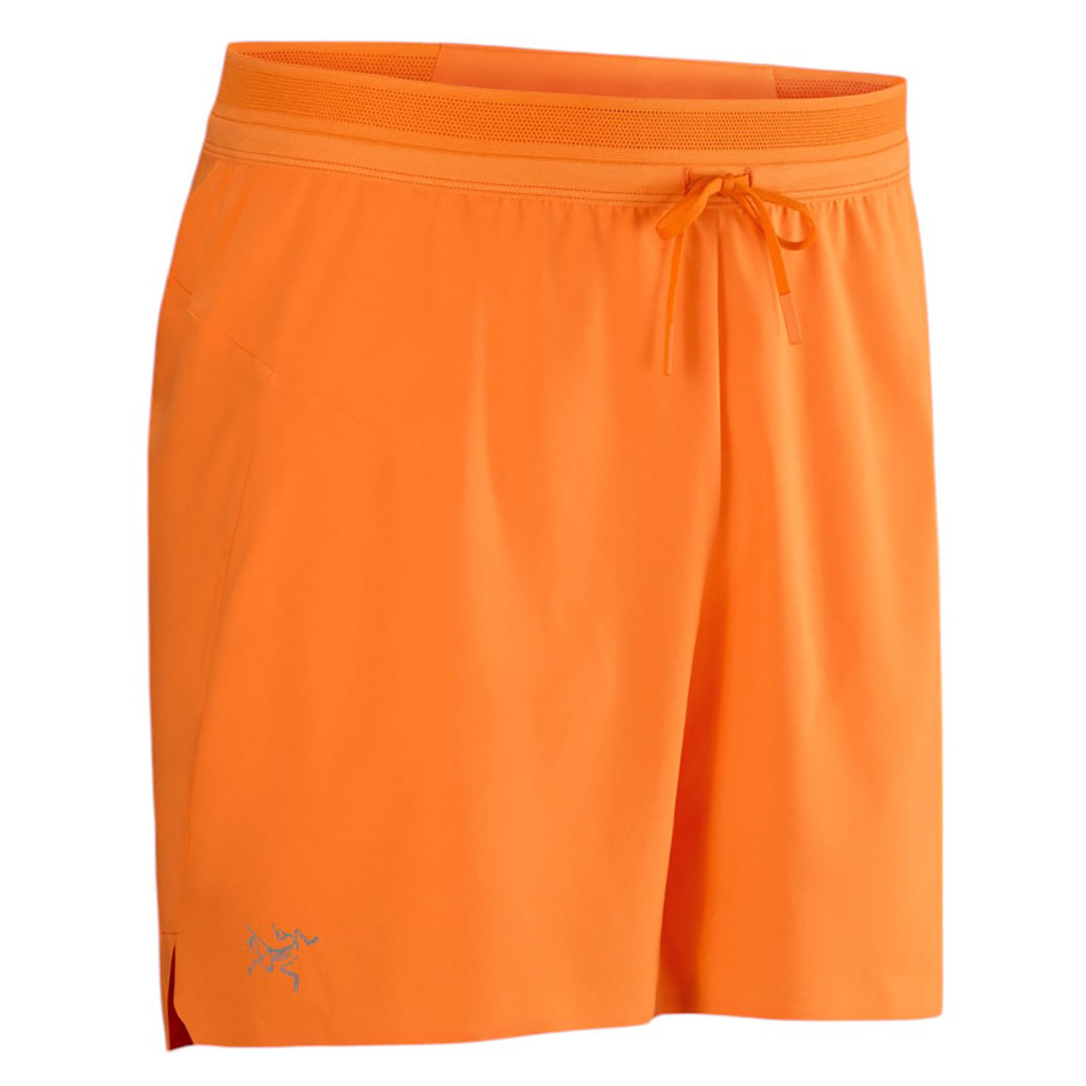 Arc-teryx-Norvan-5--Short---Men-s-Verve