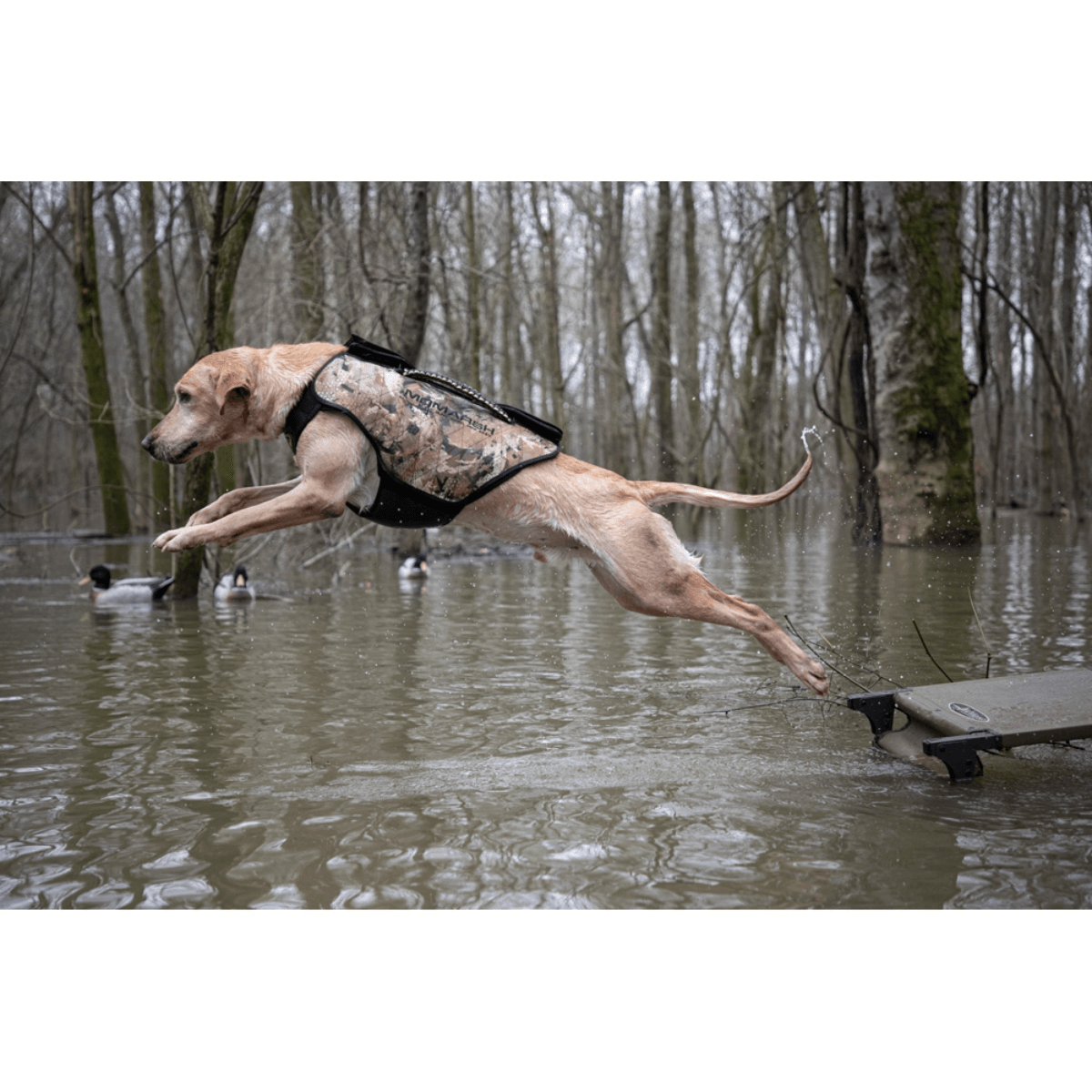 Higdon-Outdoors-Momarsh-Dog-Vest.jpg
