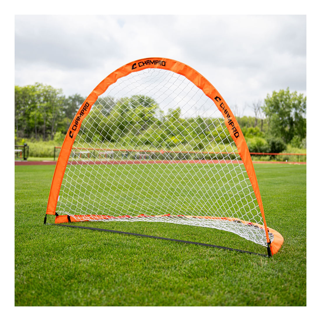 ALS-Fold-Up-Goal-n-a