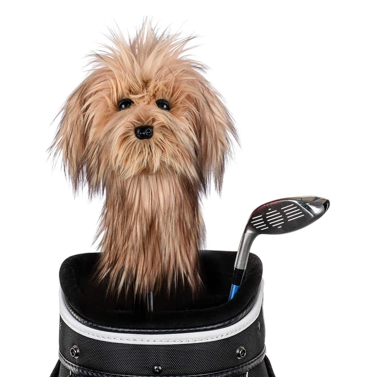 Daphne Headcovers John Daly Lion Headcover - Als.com