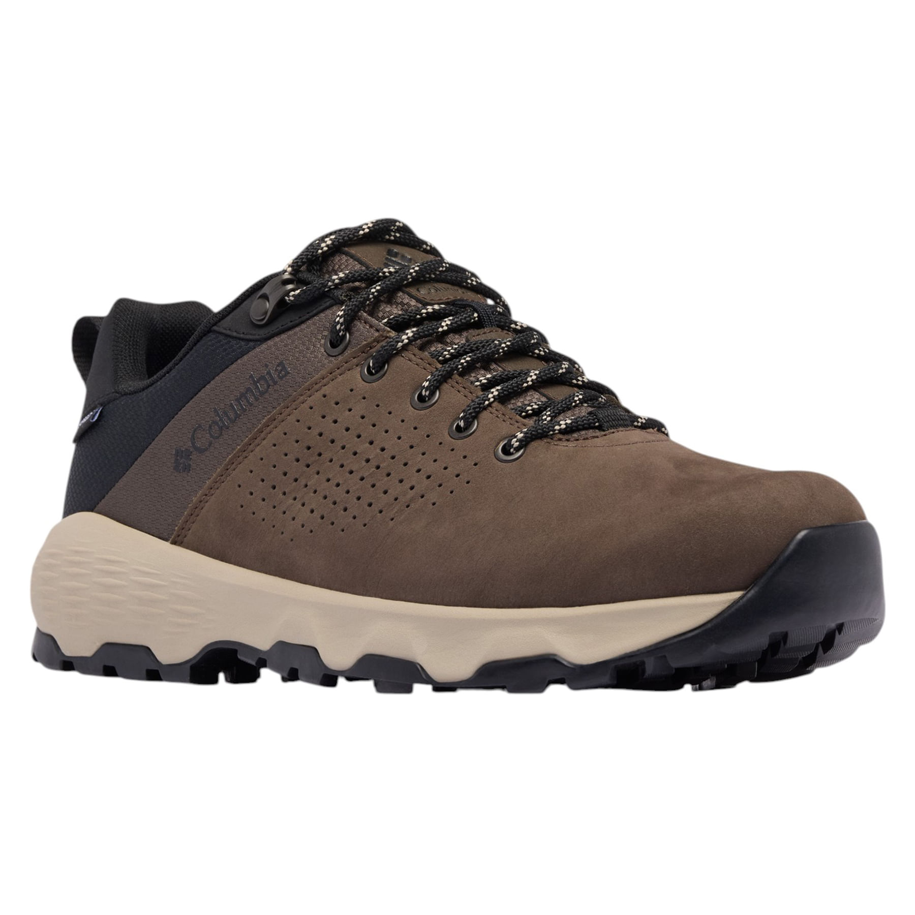 Columbia Newton Nimble LTR Hiking Shoe - Men's - Als.com
