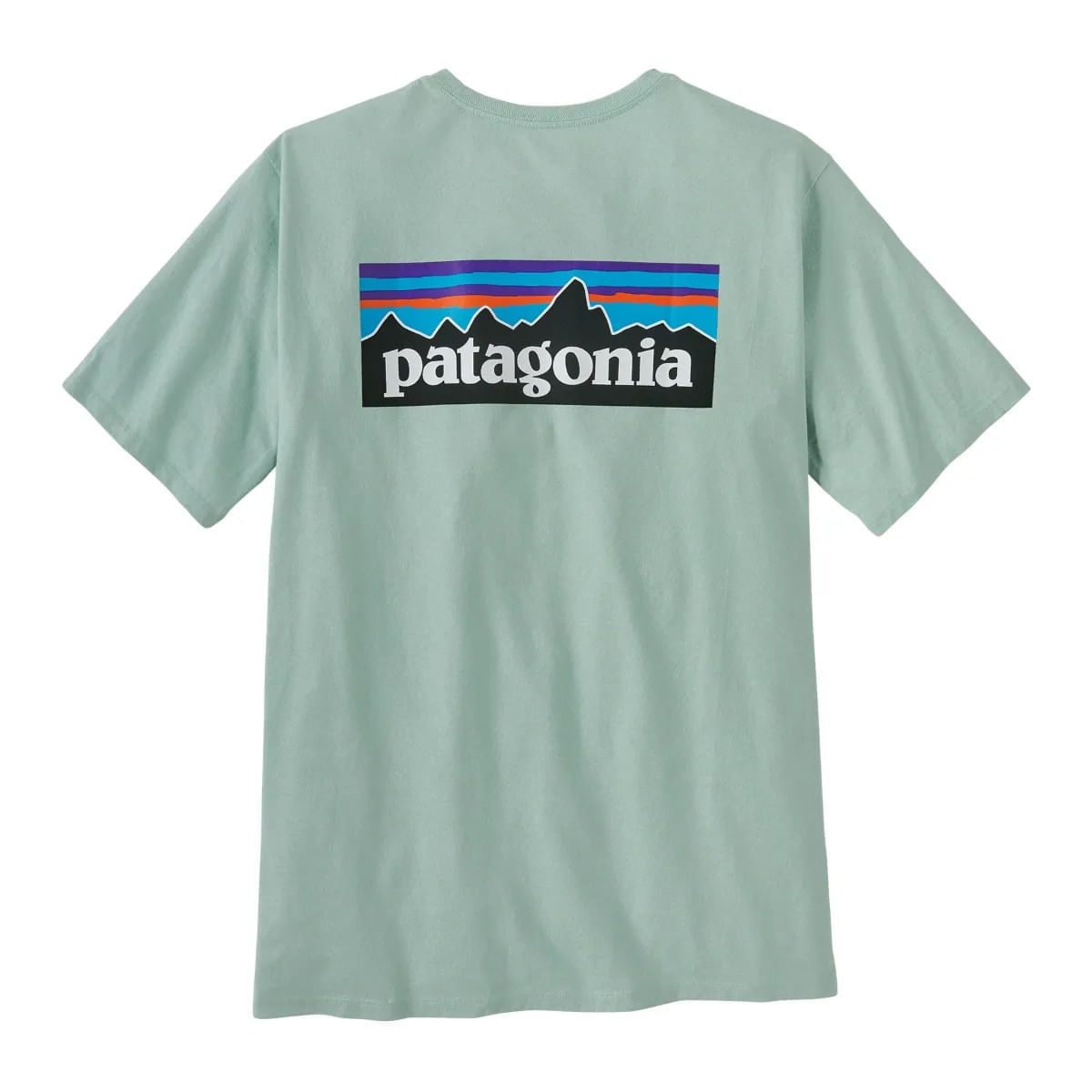 /patagonia-p6-logo-responsibilitee-shirt-mens-10393836/p?color=Wispy+Green