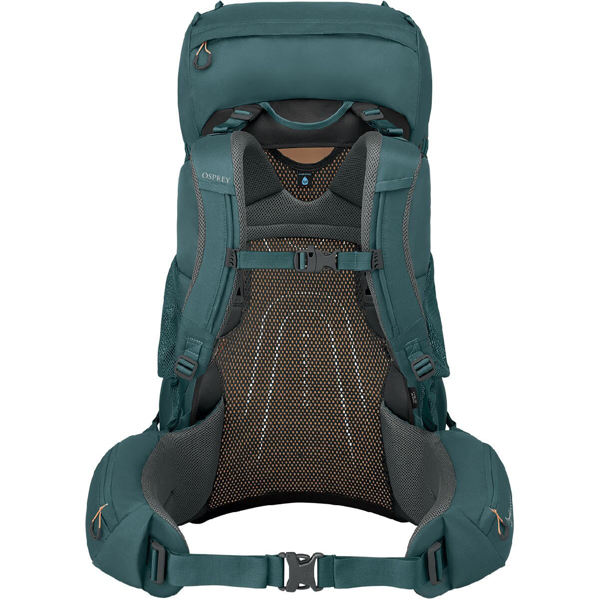 10372833x1122982_alt2