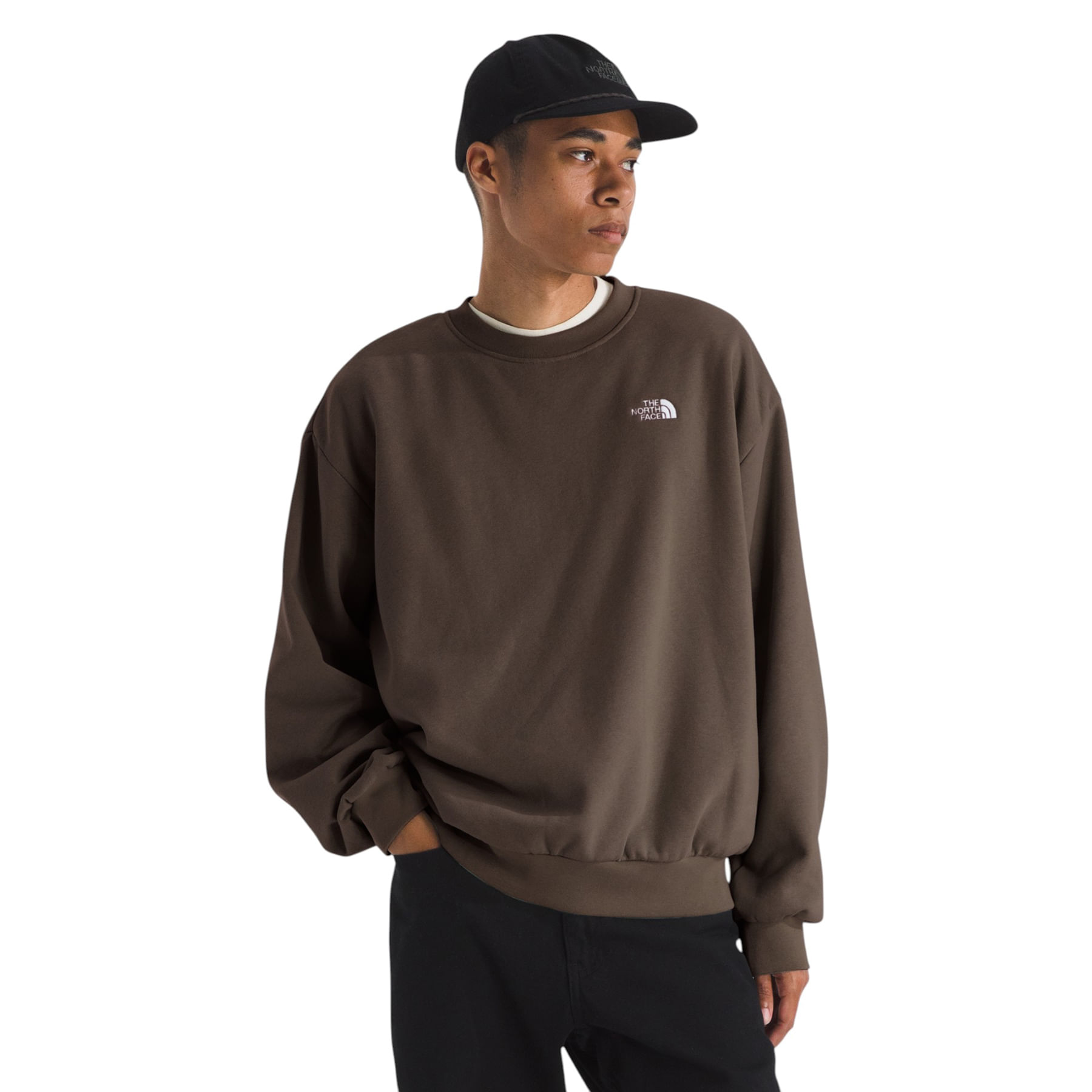 The-North-Face-Evolution-Simple-Dome-Oversized-Crew---Men-s-Smokey-Brown