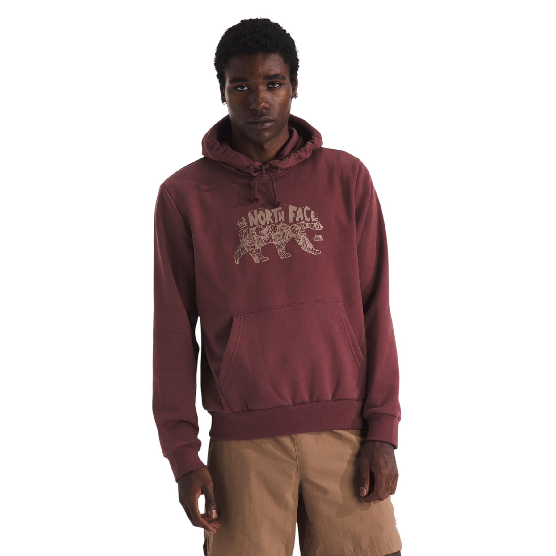 The North Face Evolution Bear Graphic Hoodie - Men's - Als.com