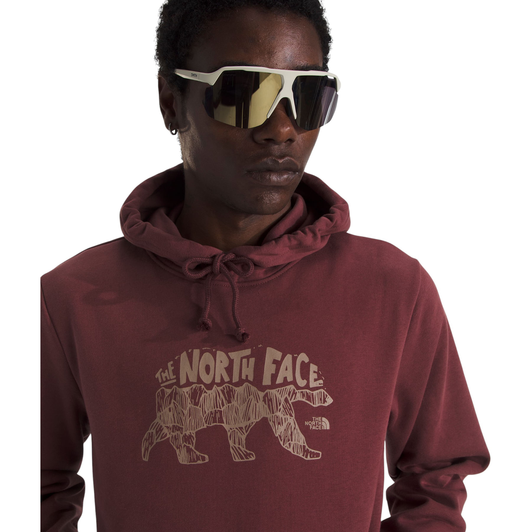 The North Face Evolution Bear Graphic Hoodie - Men's - Als.com