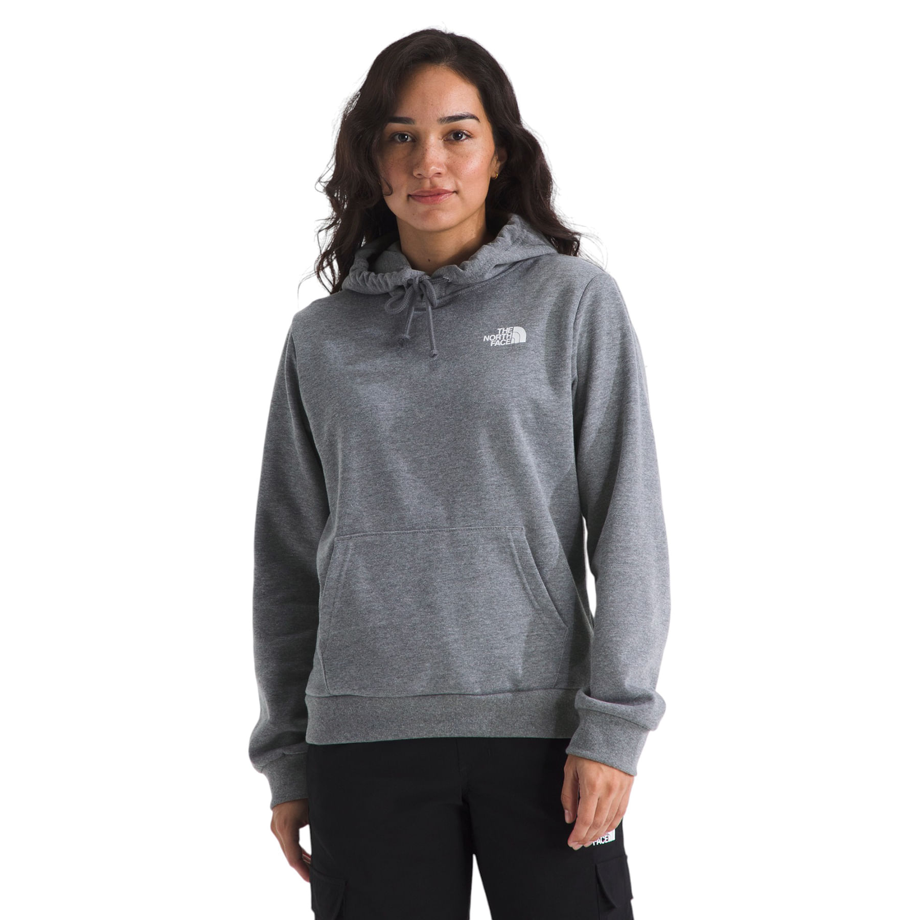 The North Face Evolution Floral Box Nse Hoodie - Women's