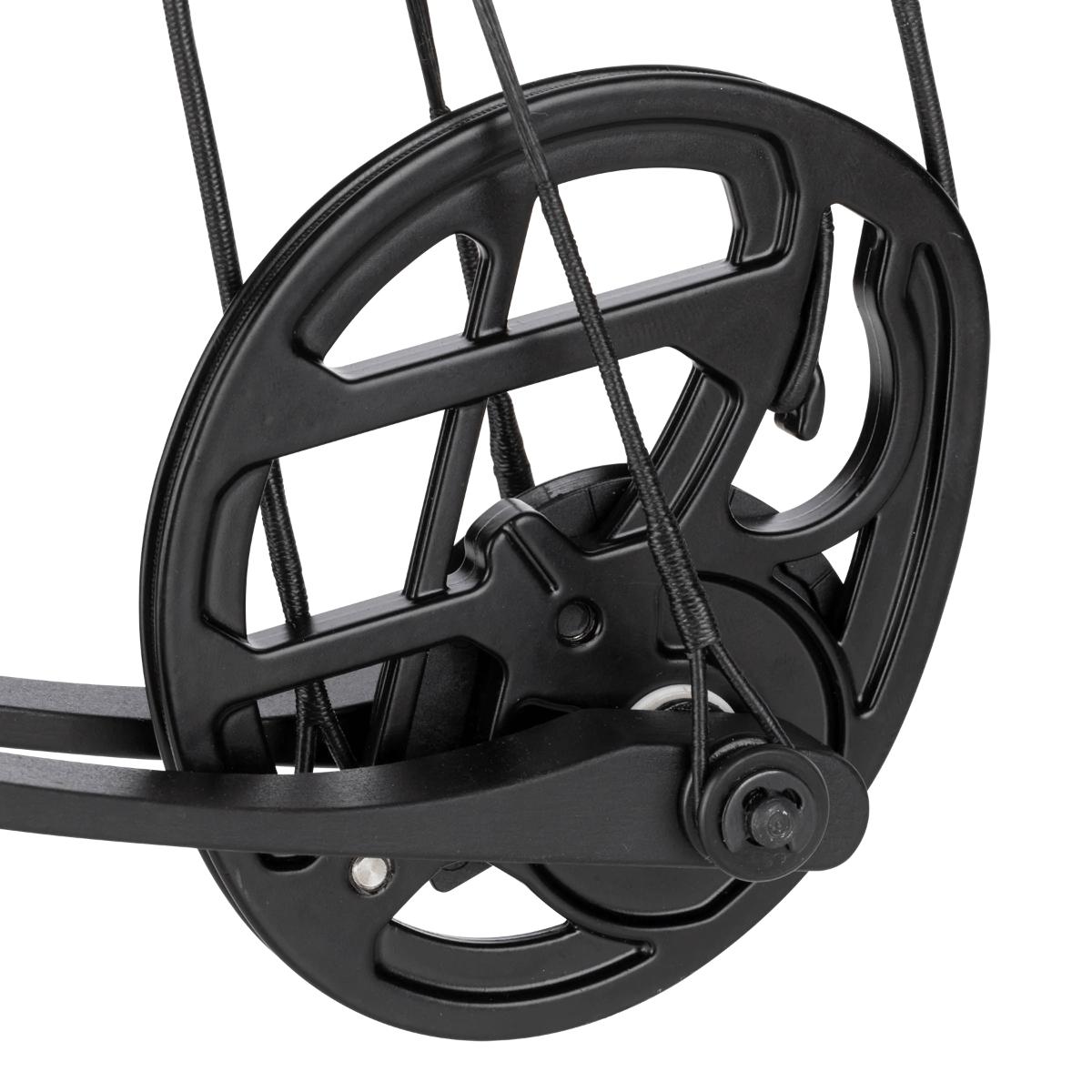 Bear-Archery-Pathfinder-Compound-Bow---Black.jpg