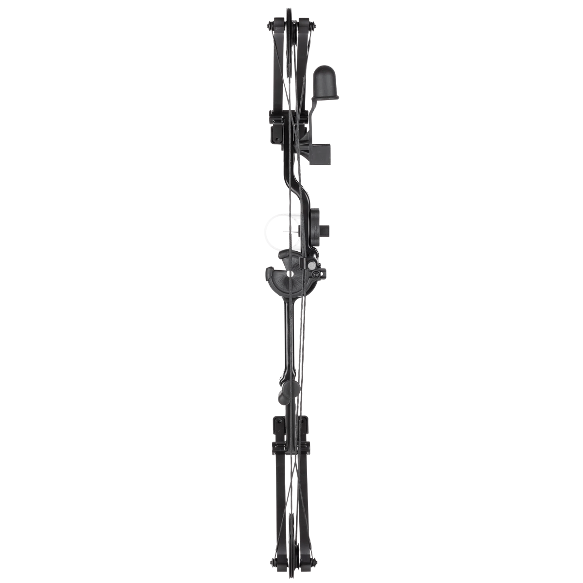Bear-Archery-Pathfinder-Compound-Bow---Black.jpg