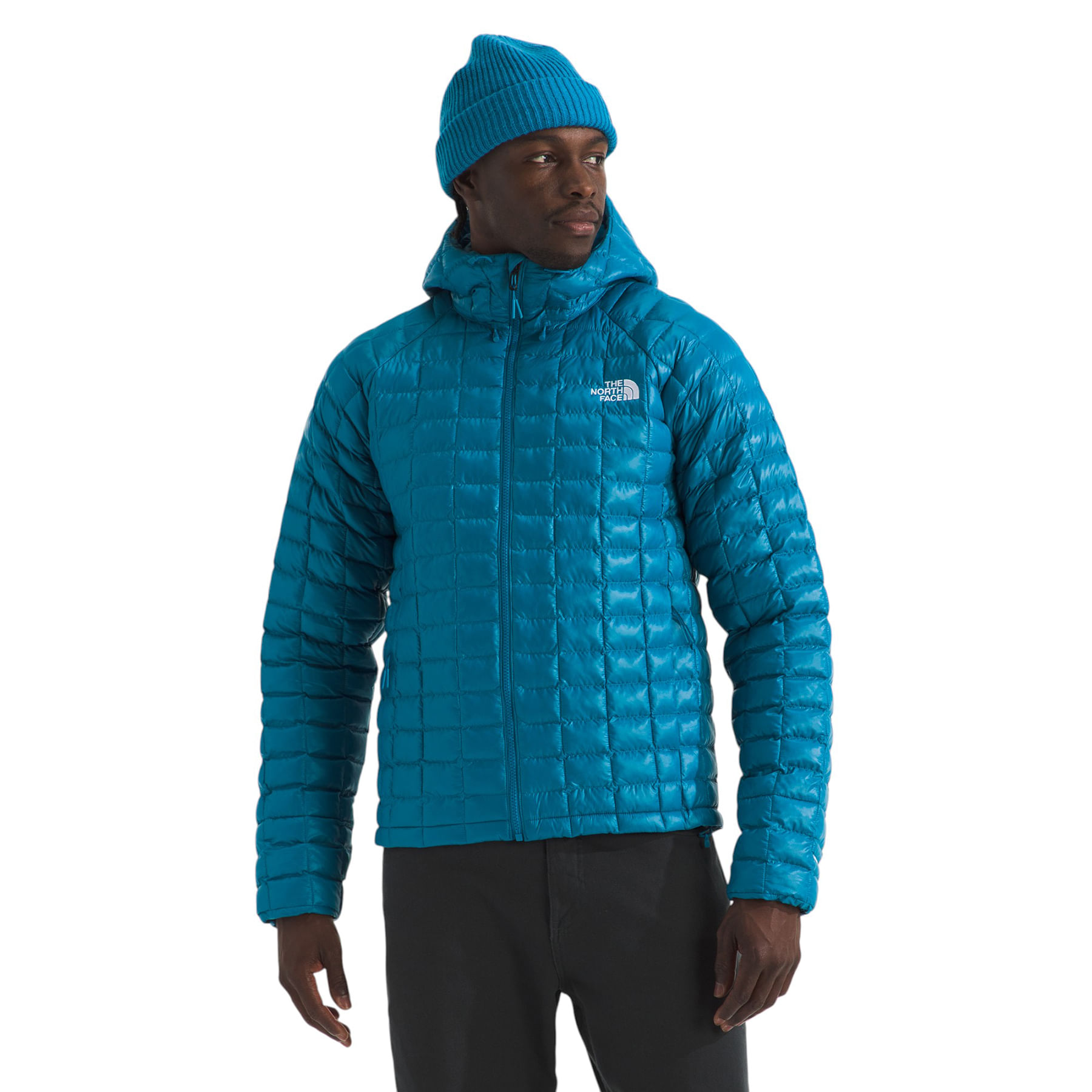 Arc'teryx Atom SL Hoody - Men's - Als.com