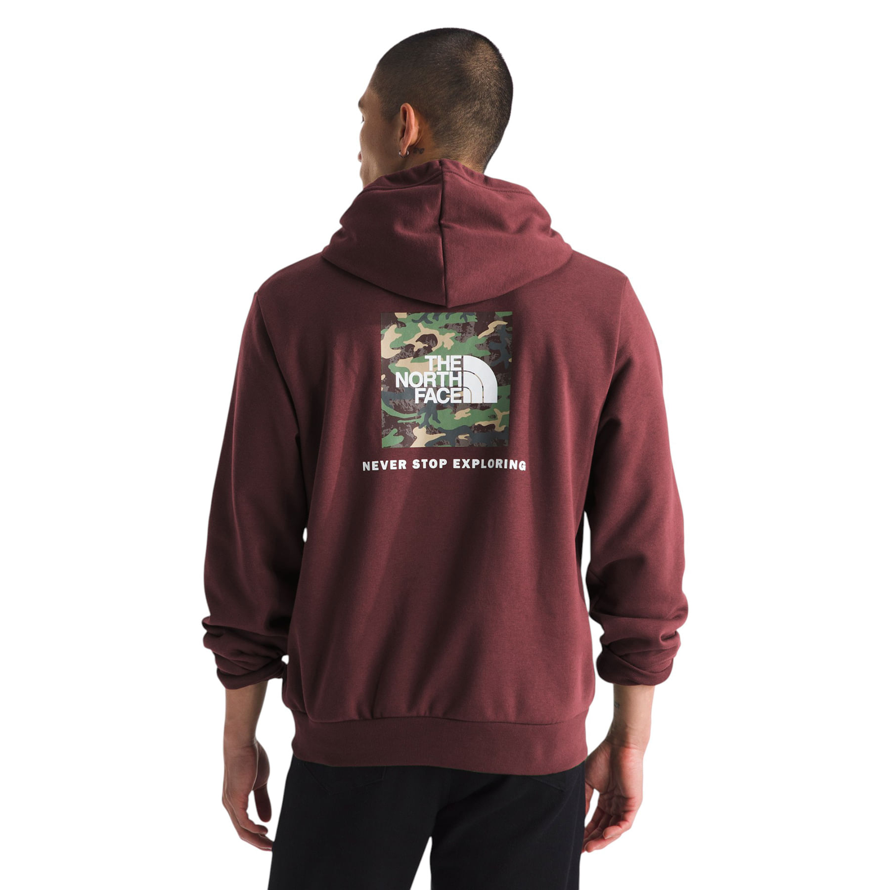 The North Face Evolution Box Camo Fill Graphic Hoodie