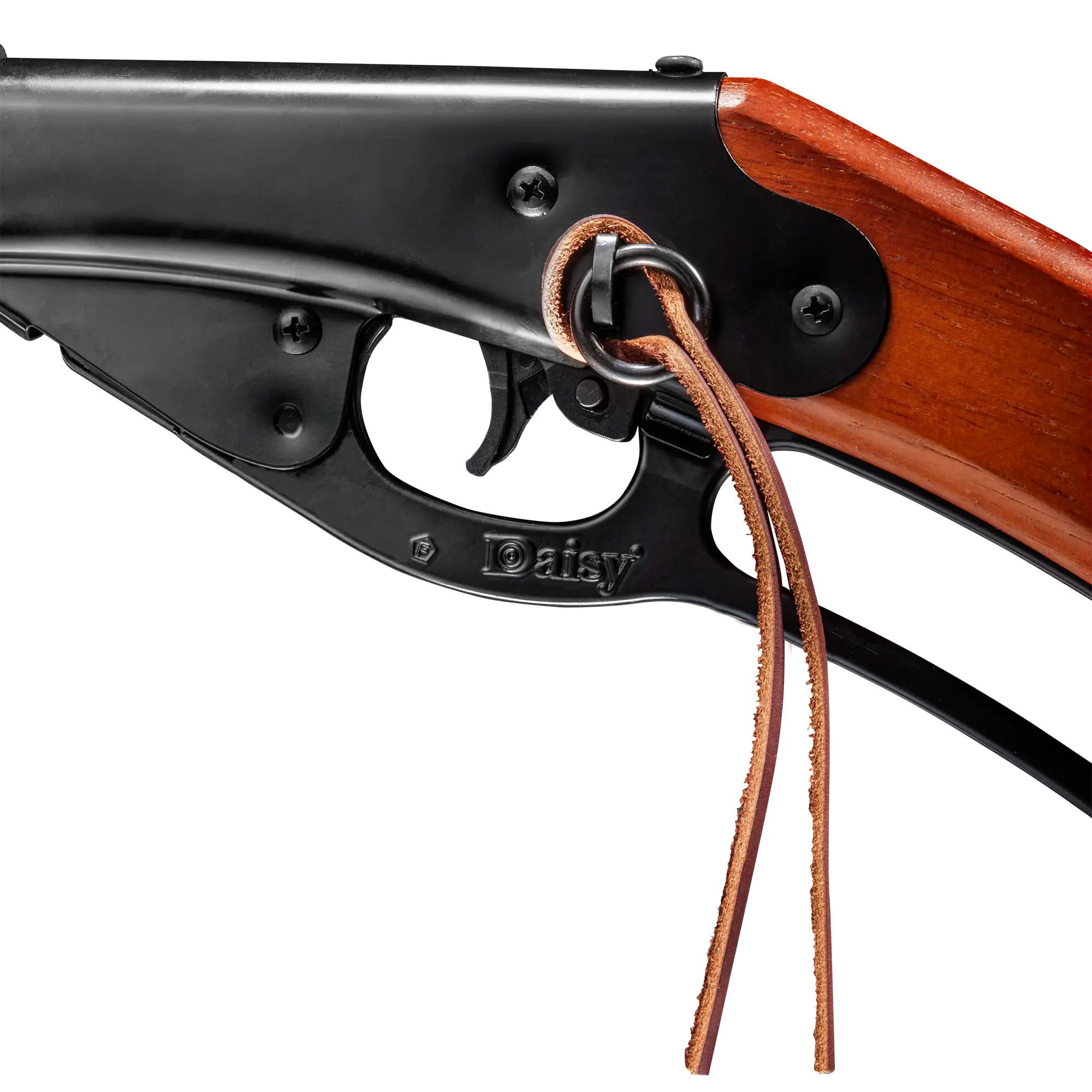 10256095x1241253_alt6