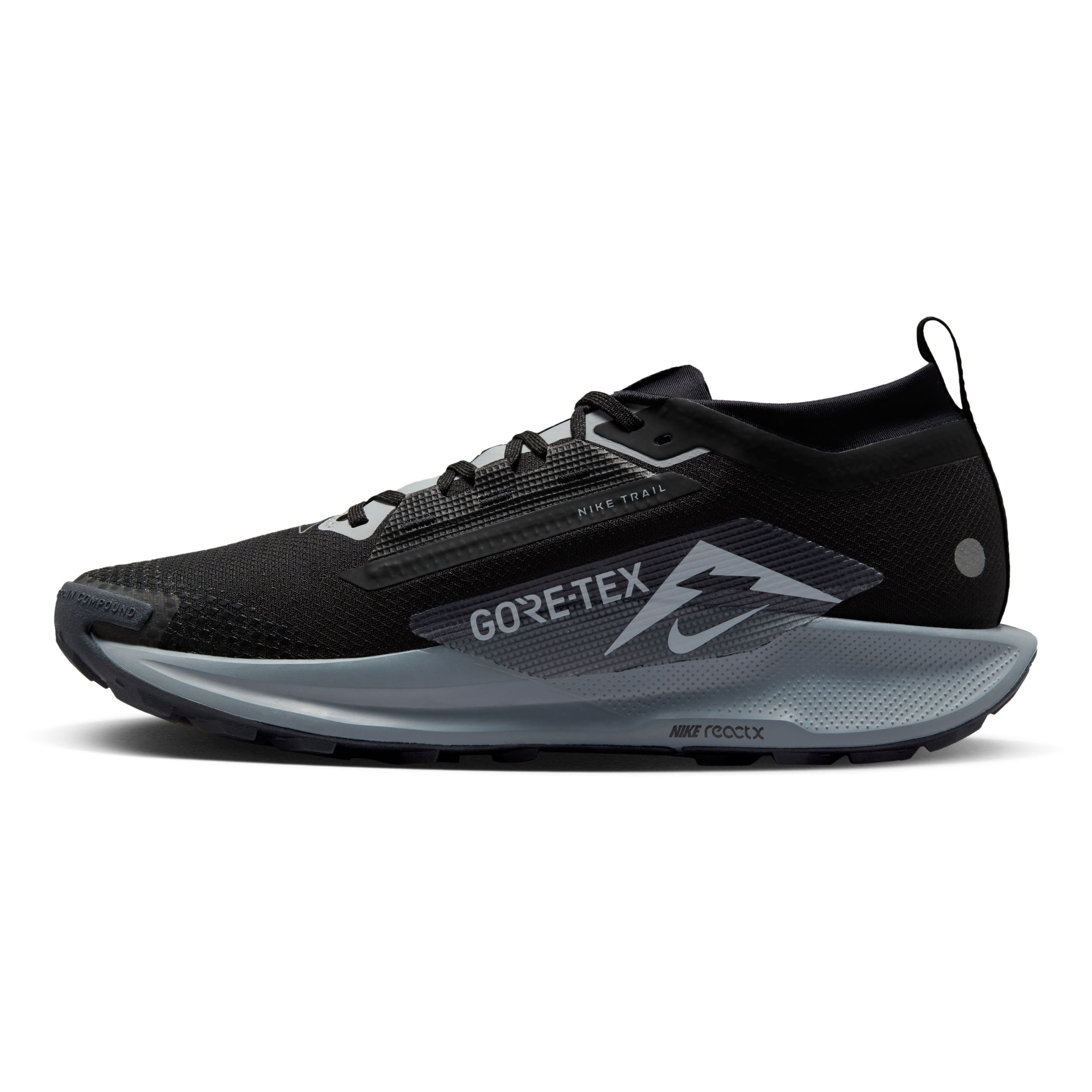 Nike Pegasus Trail 5 GORE-TEX Trail Running Shoe - Men's - Als.com