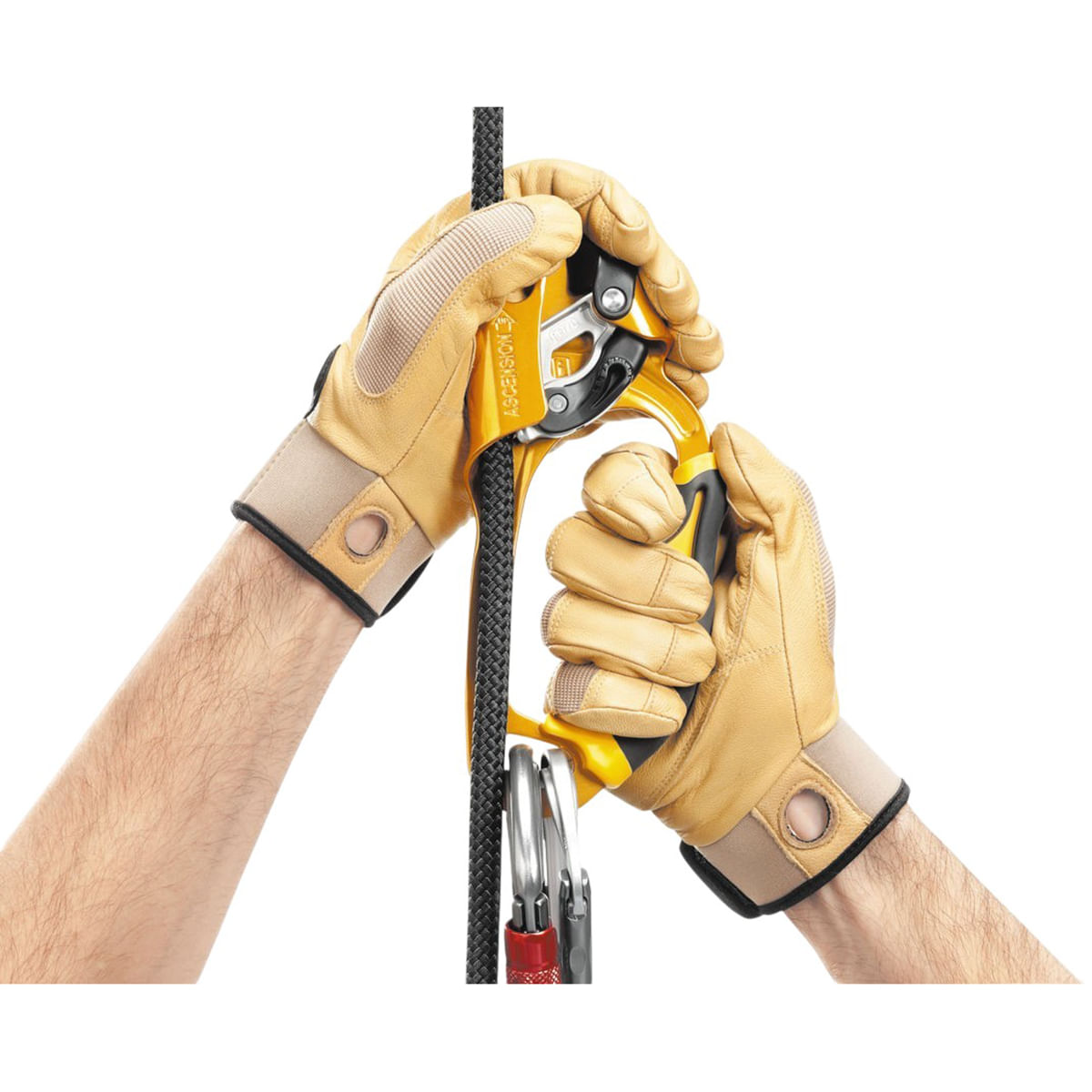 Petzl Ascension Ascender - Yellow Right