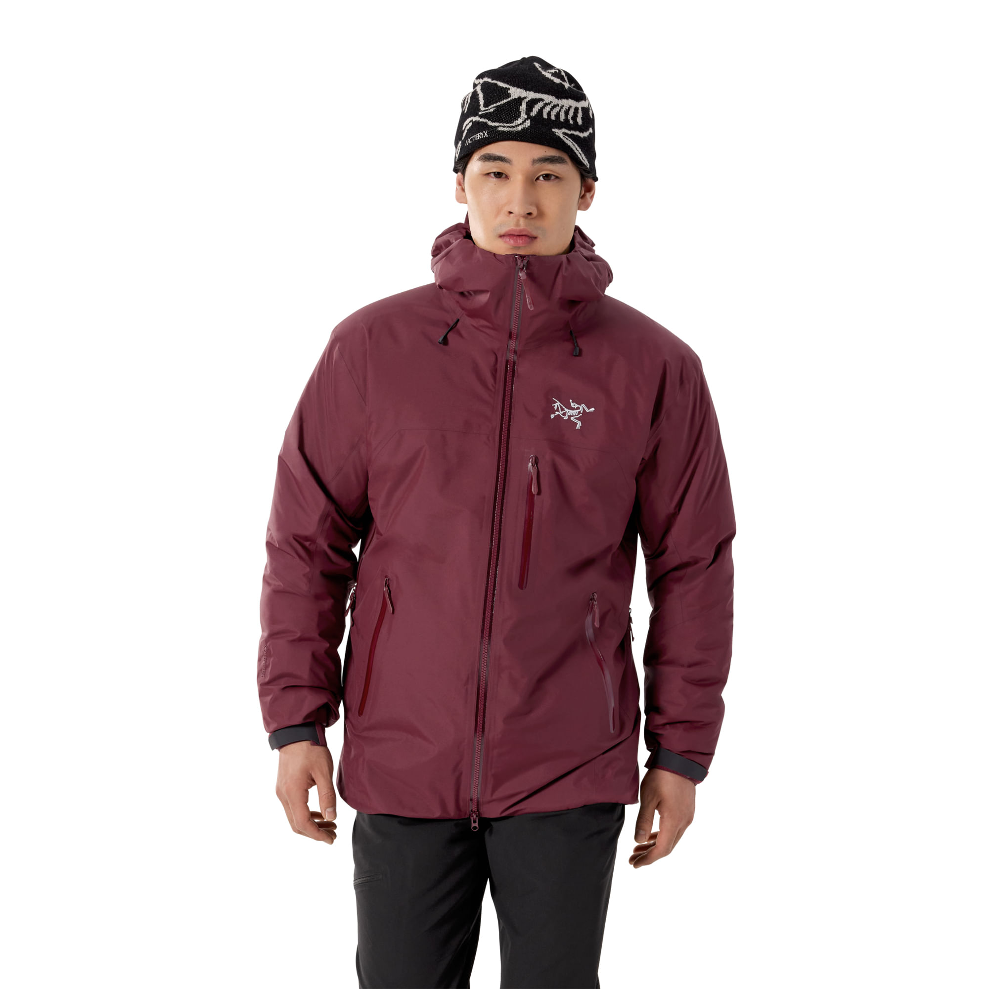 Arc'teryx Beta Insulated Jacket - Men's - Als.com
