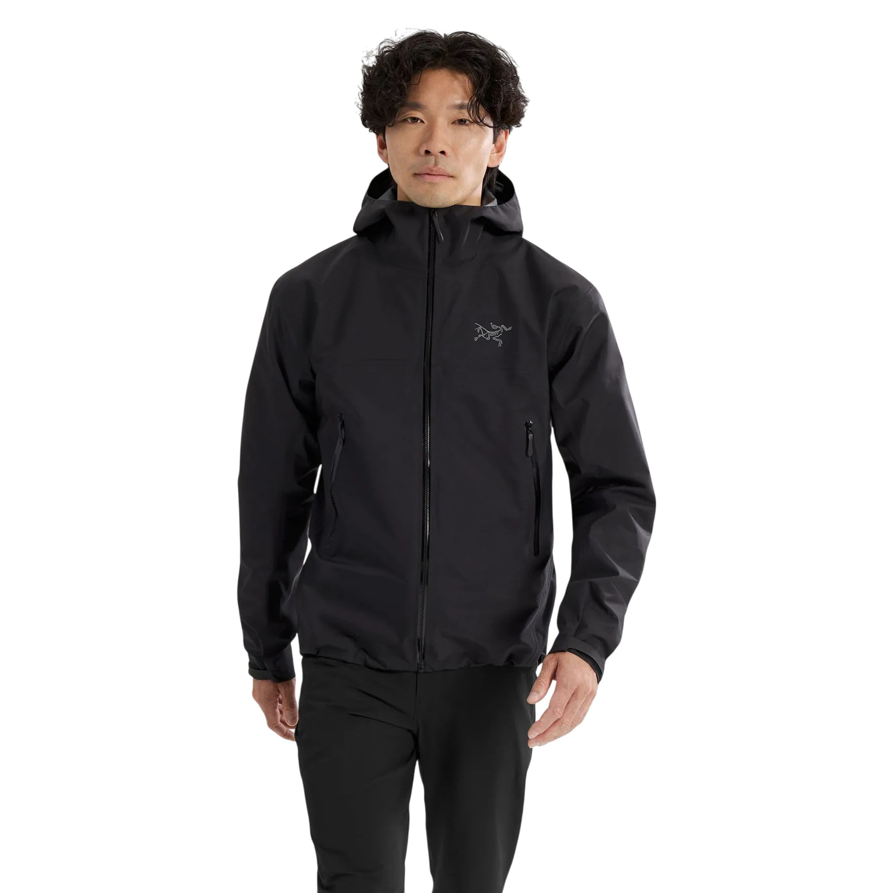 Arc'teryx Beta Jacket - Men's - Als.com