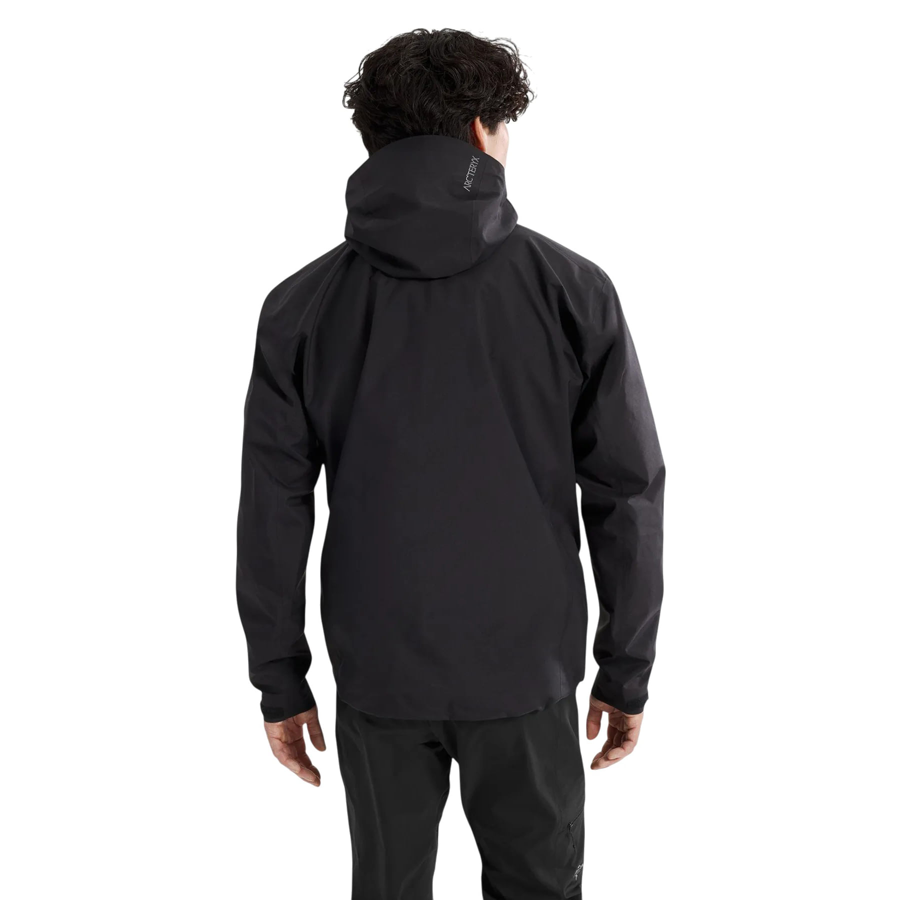 Arc'teryx Beta Jacket - Men's - Als.com