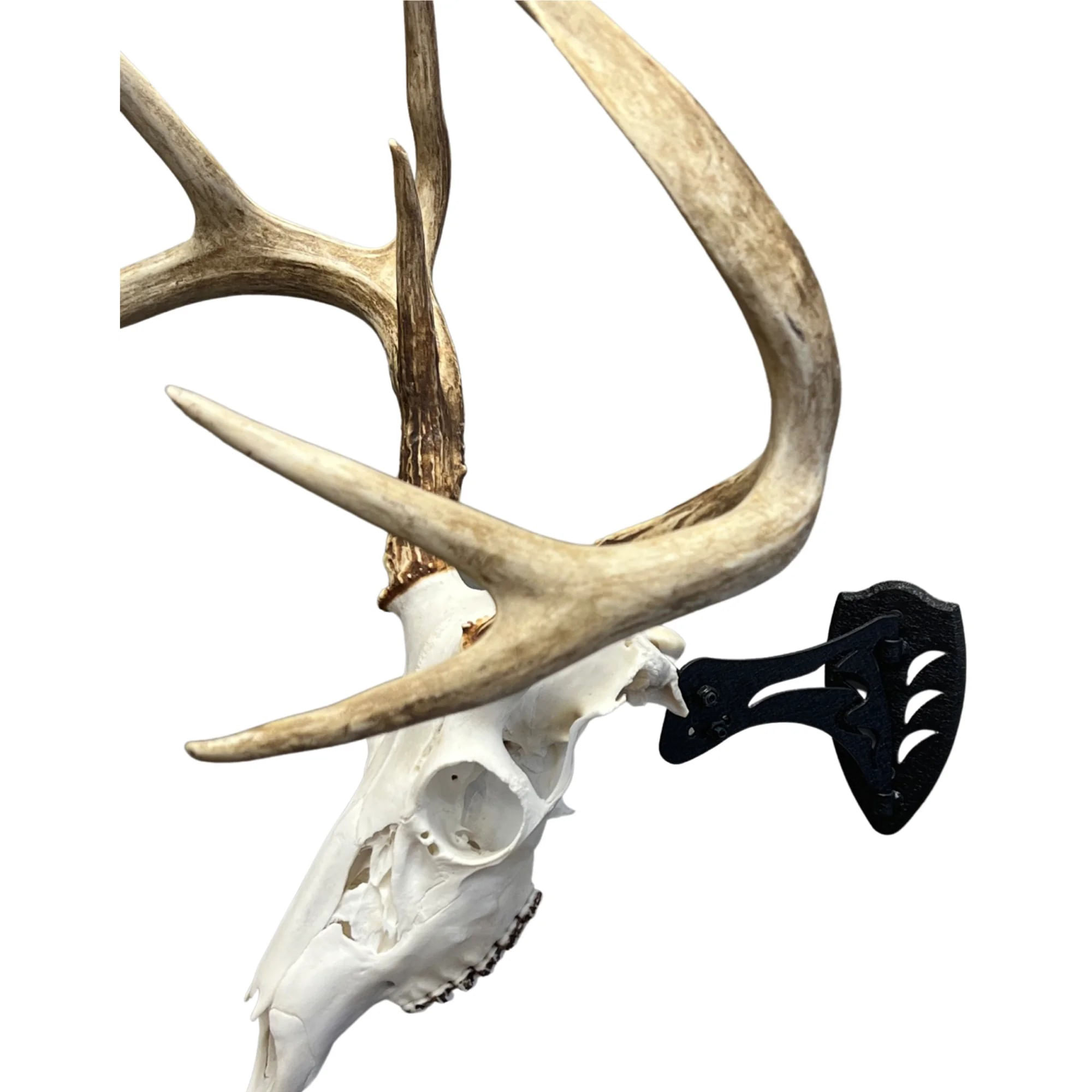 Skull-Hooker-Little-Hooker-Black