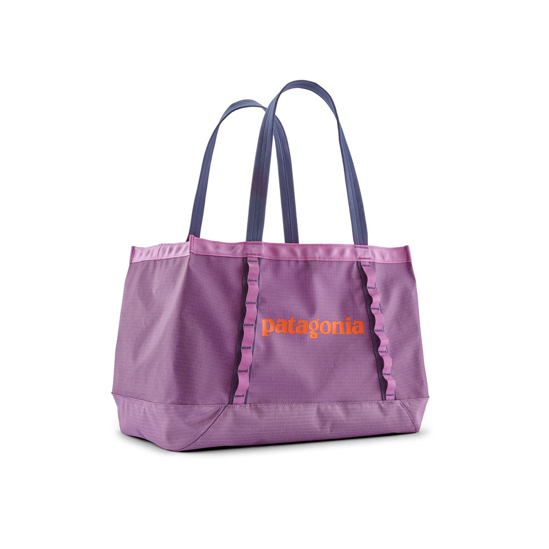 y0025　0923 Patagonia Black Hole 25 L Tote - Als.com