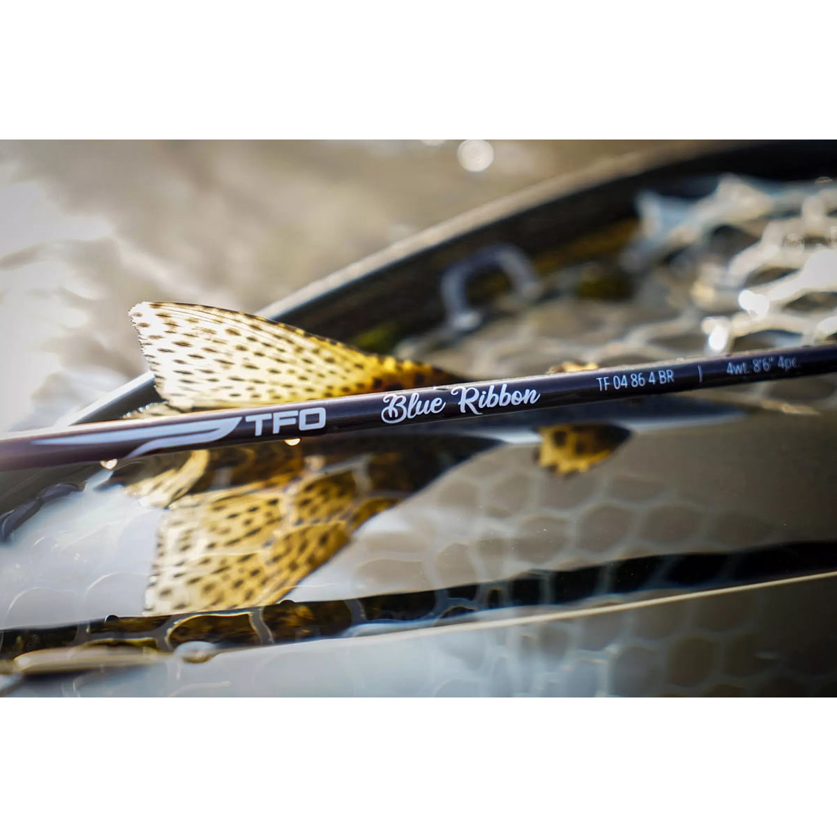 Temple Fork Outfitters Blue Ribbon Fly Rod - 5 Weight 4 Piece 9'