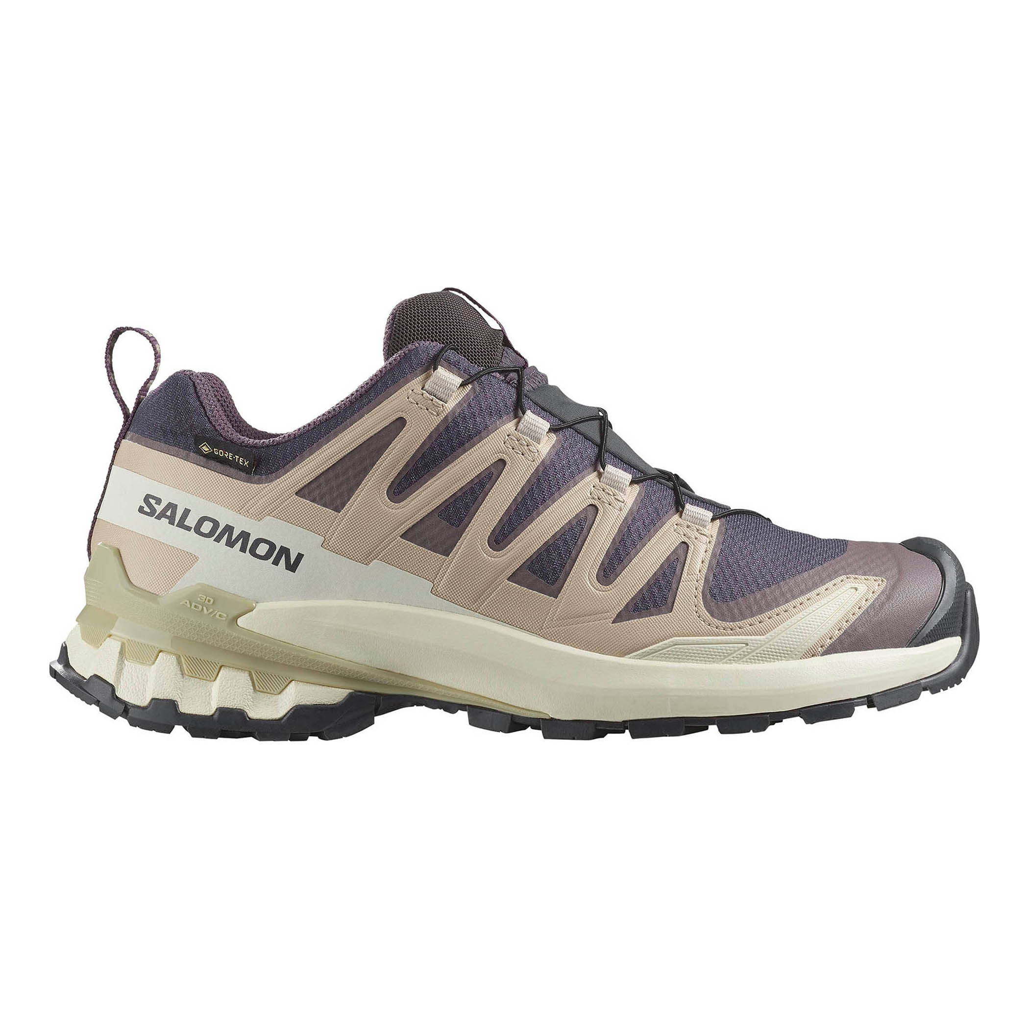 Salomon XA Pro 3D V9 GTX Hiking Shoe - Women's - Als.com