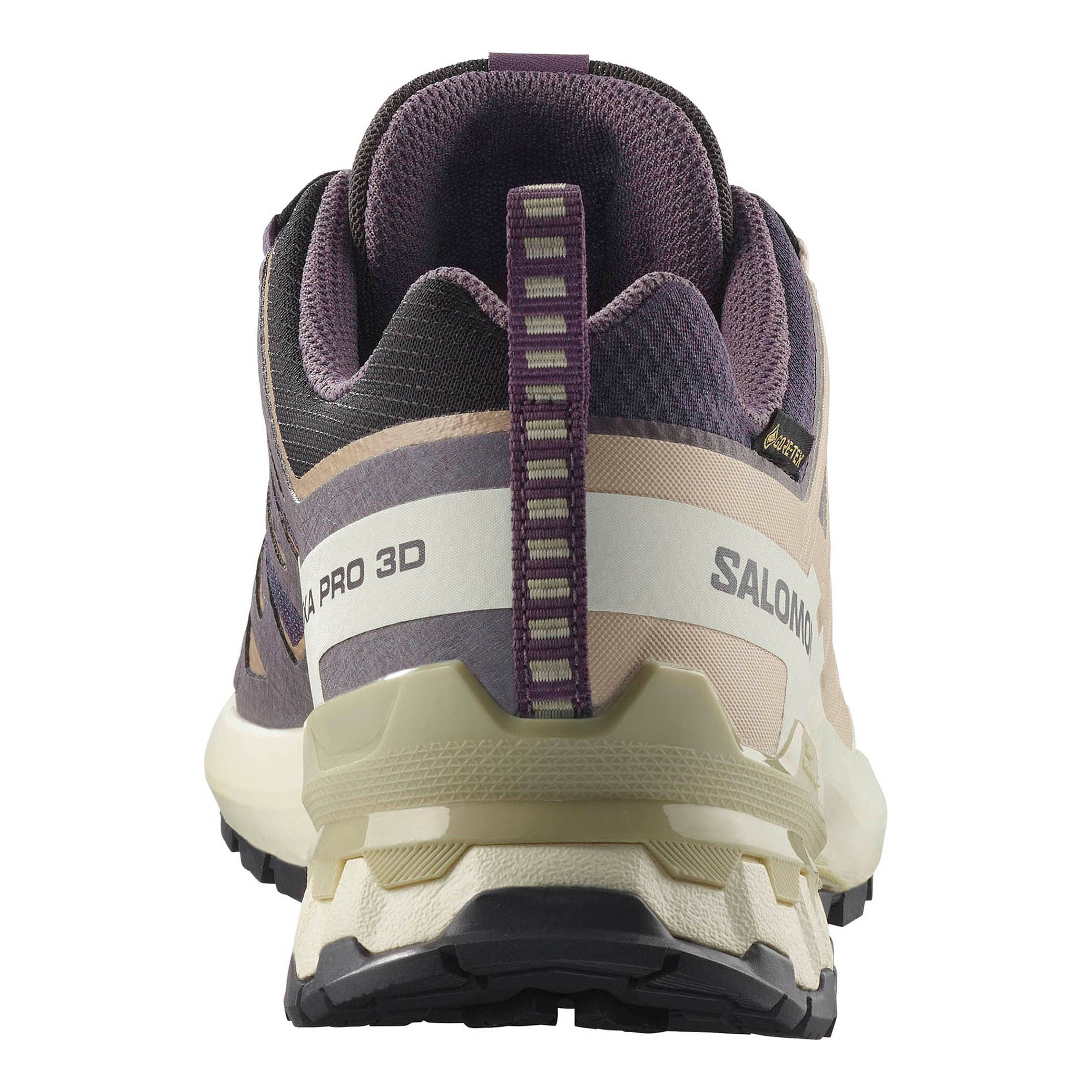 Salomon XA Pro 3D V9 GTX Hiking Shoe - Women's - Als.com