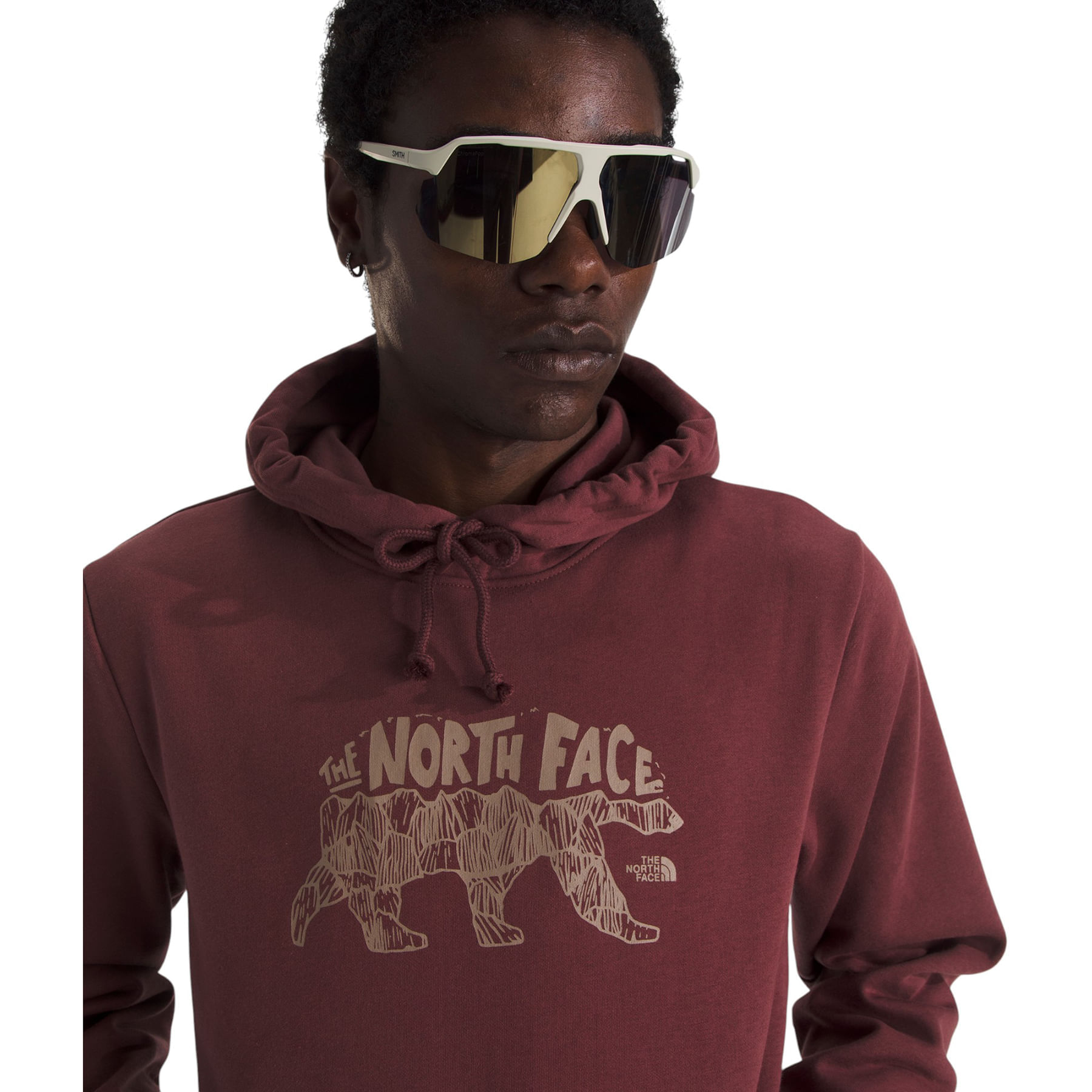 The-North-Face-Evolution-Bear-Graphic-Hoodie---Men-s-Sumac