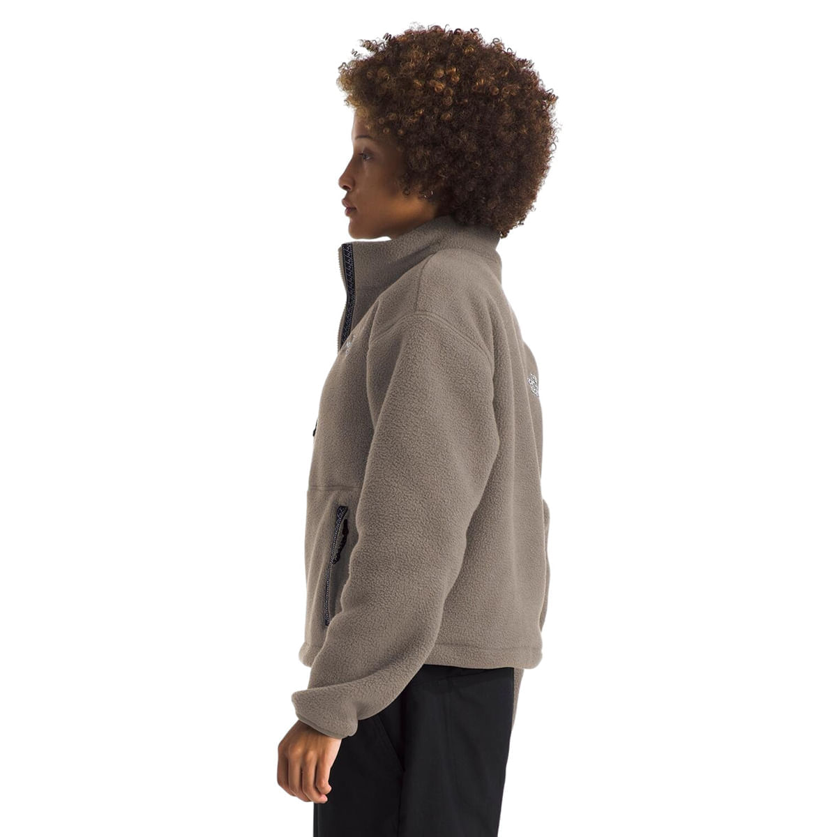 The North Face Fleeski Zip Pullover - Women's - Als.com
