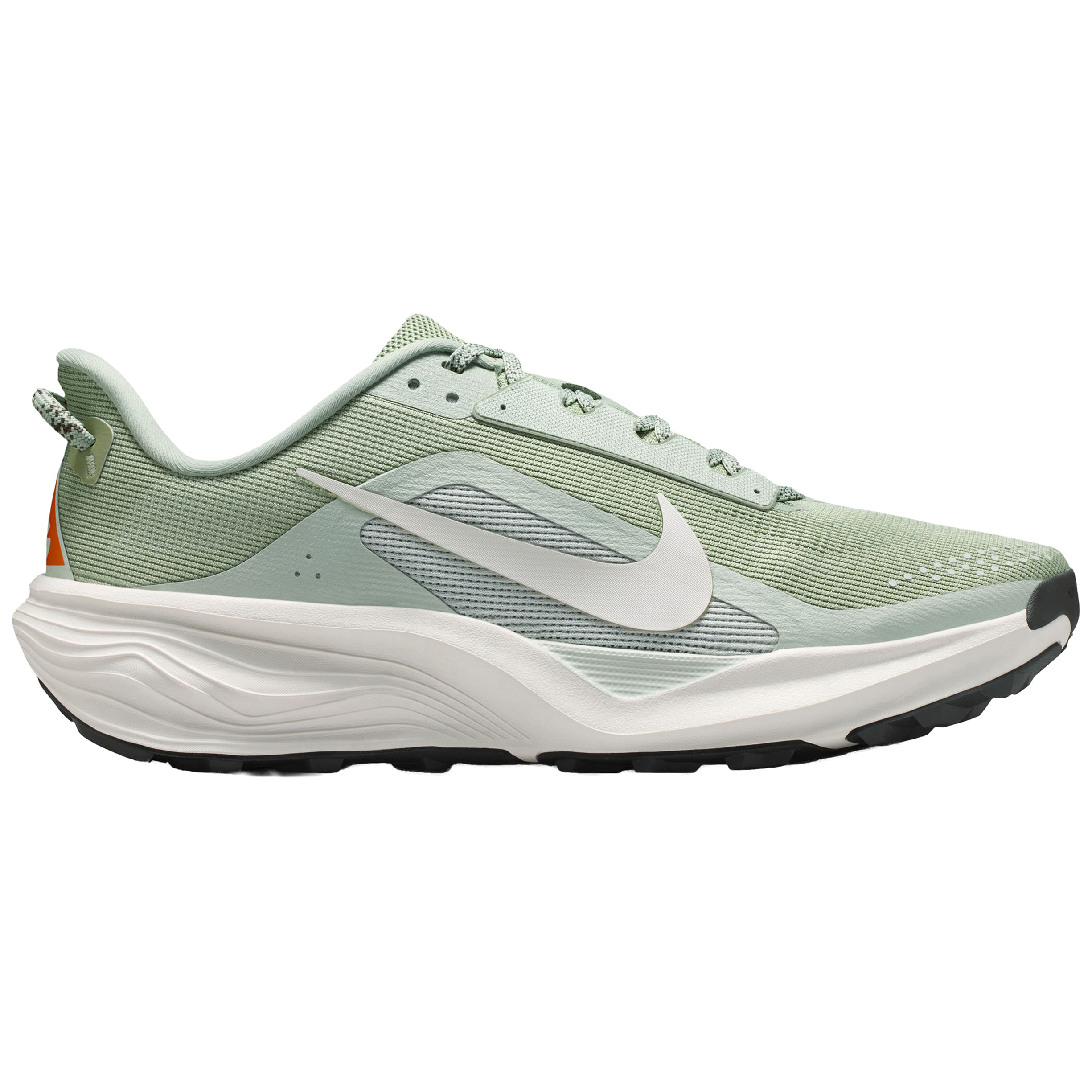 Nike-ACG-Pegasus-Trail-Running-Shoe---Men-s-Jade-Horizon---Phantom-Light-Silver