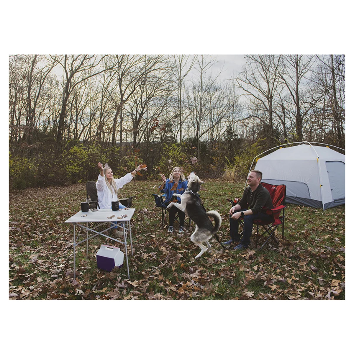 ALPS Mountaineering Camp Table - Silver