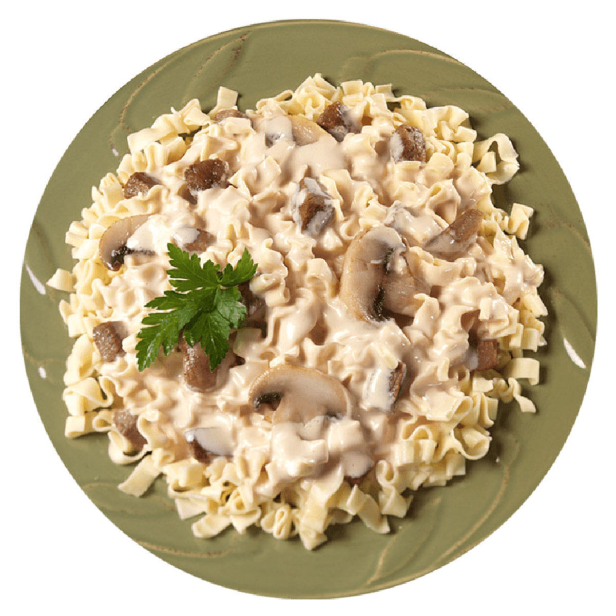 Mountain House Beef Stroganoff Pro Pak - Als.com