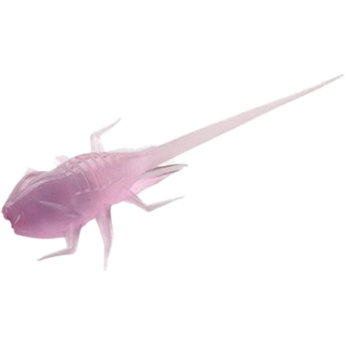 13-FISHING-BAMF-PURPLE-RAIN