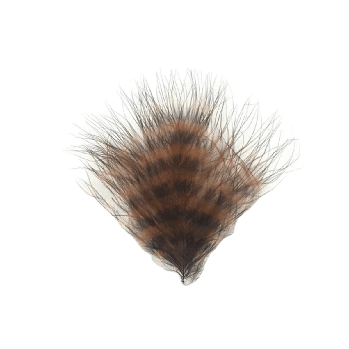Montana Fly Company Barred Marabou 3"-5" Feathers - Brown / Barred Black 3-5"