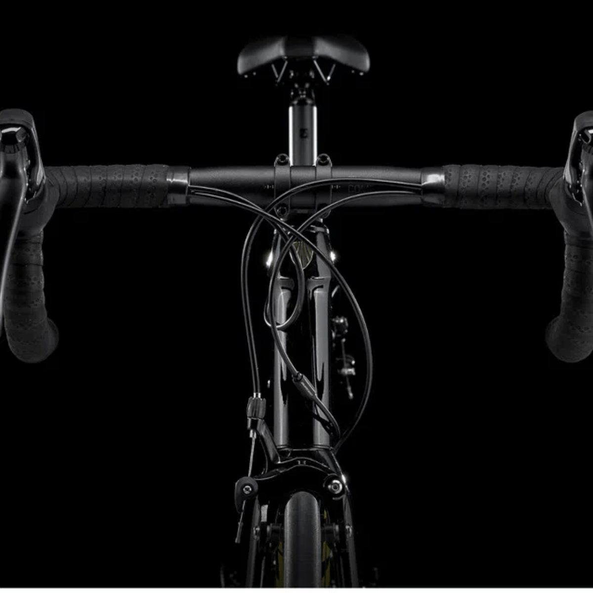 Trek Domane Al 2 Rim Bike - 2025 - Als.com