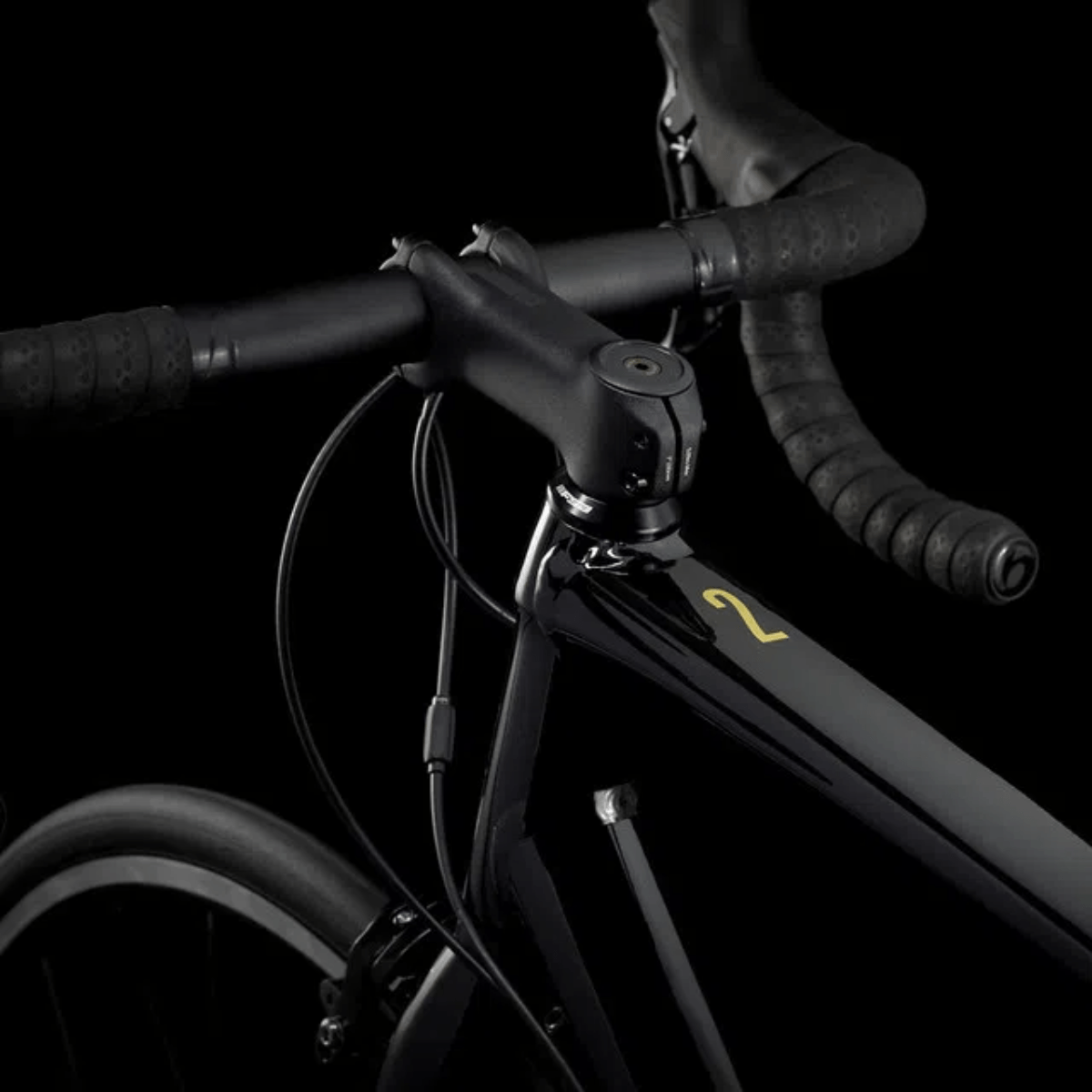 Trek Domane Al 2 Rim Bike - 2025 - Als.com