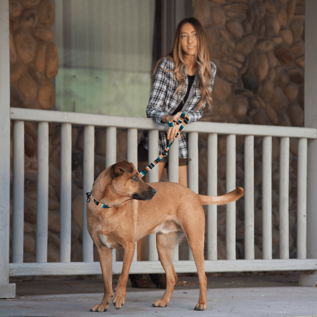 NWEB---WOLFGA-LOSTART-DOG-LEASH.jpg