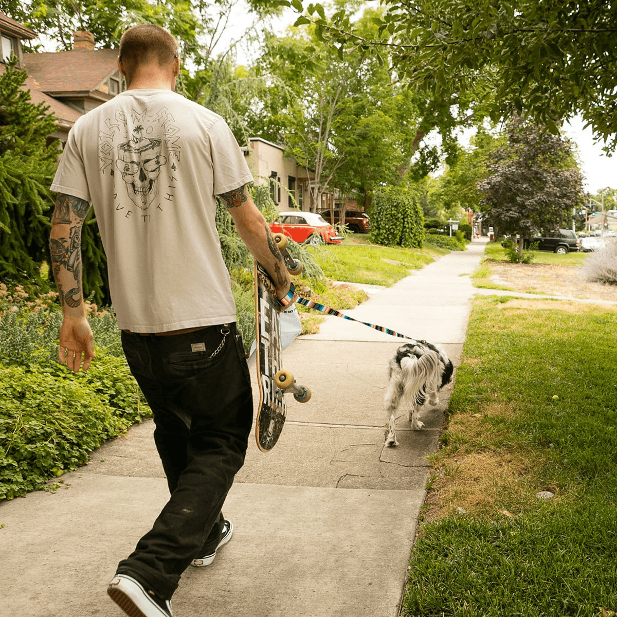NWEB---WOLFGA-LOSTART-DOG-LEASH.jpg