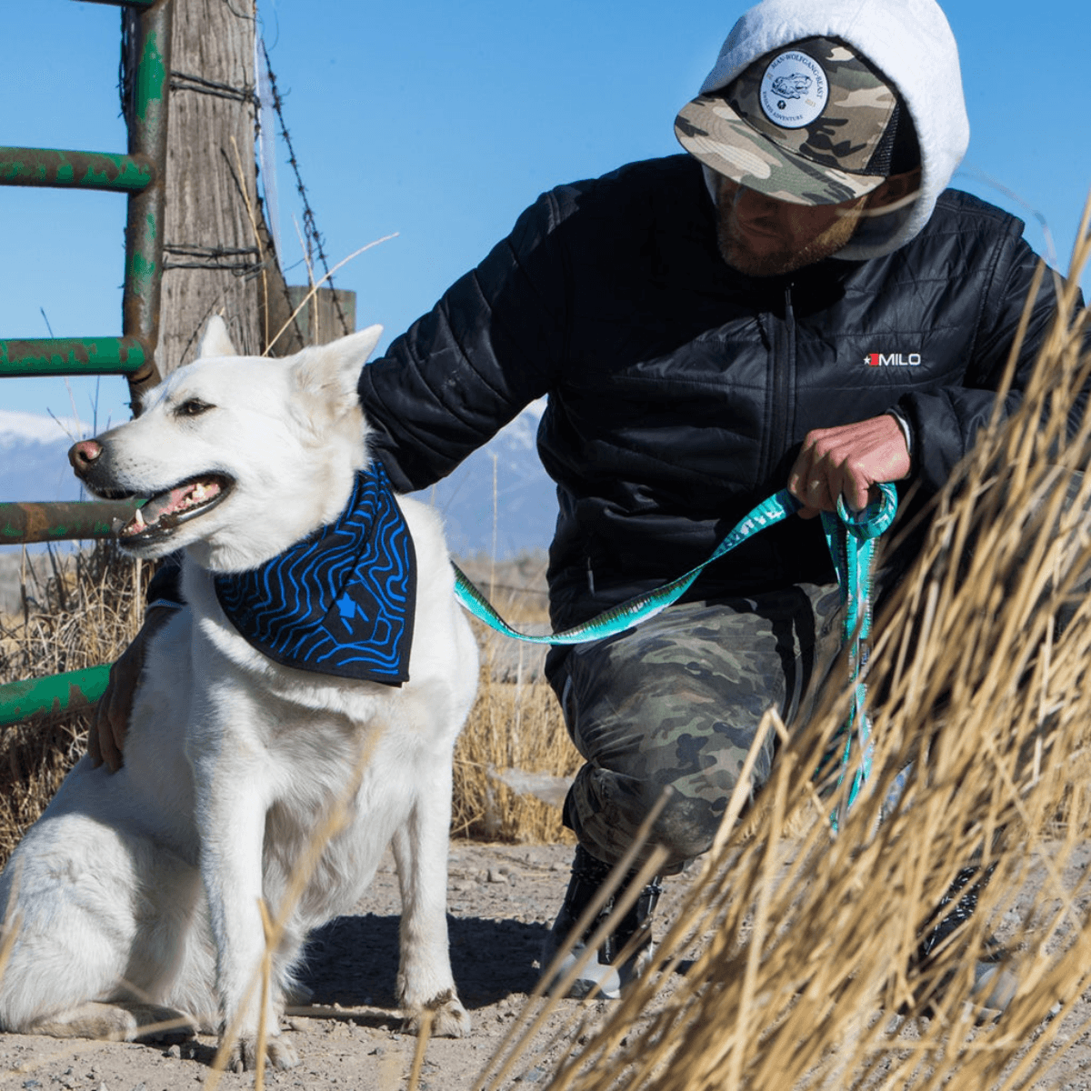 NWEB---WOLFGA-GREATESCAPE-DOG-LEASH.jpg