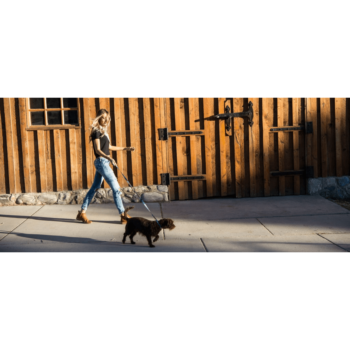 NWEB---WOLFGA-DAYDREAM-DOG-COLLAR.jpg