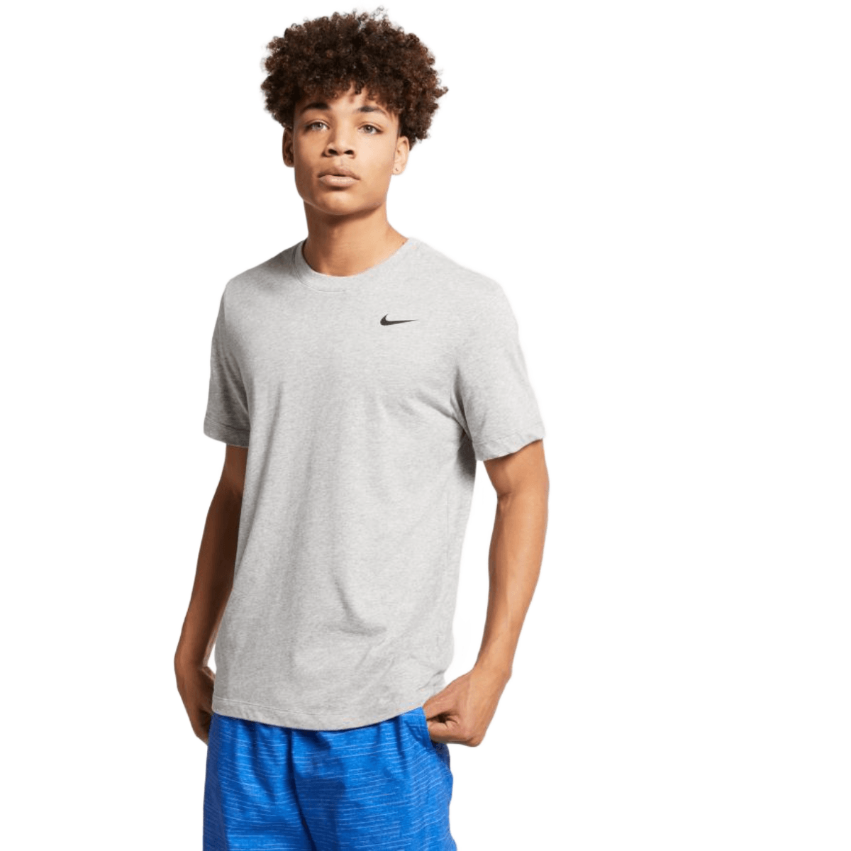 /nike-drifit-fitness-tshirt-mens-10364247/p?skuId=465794